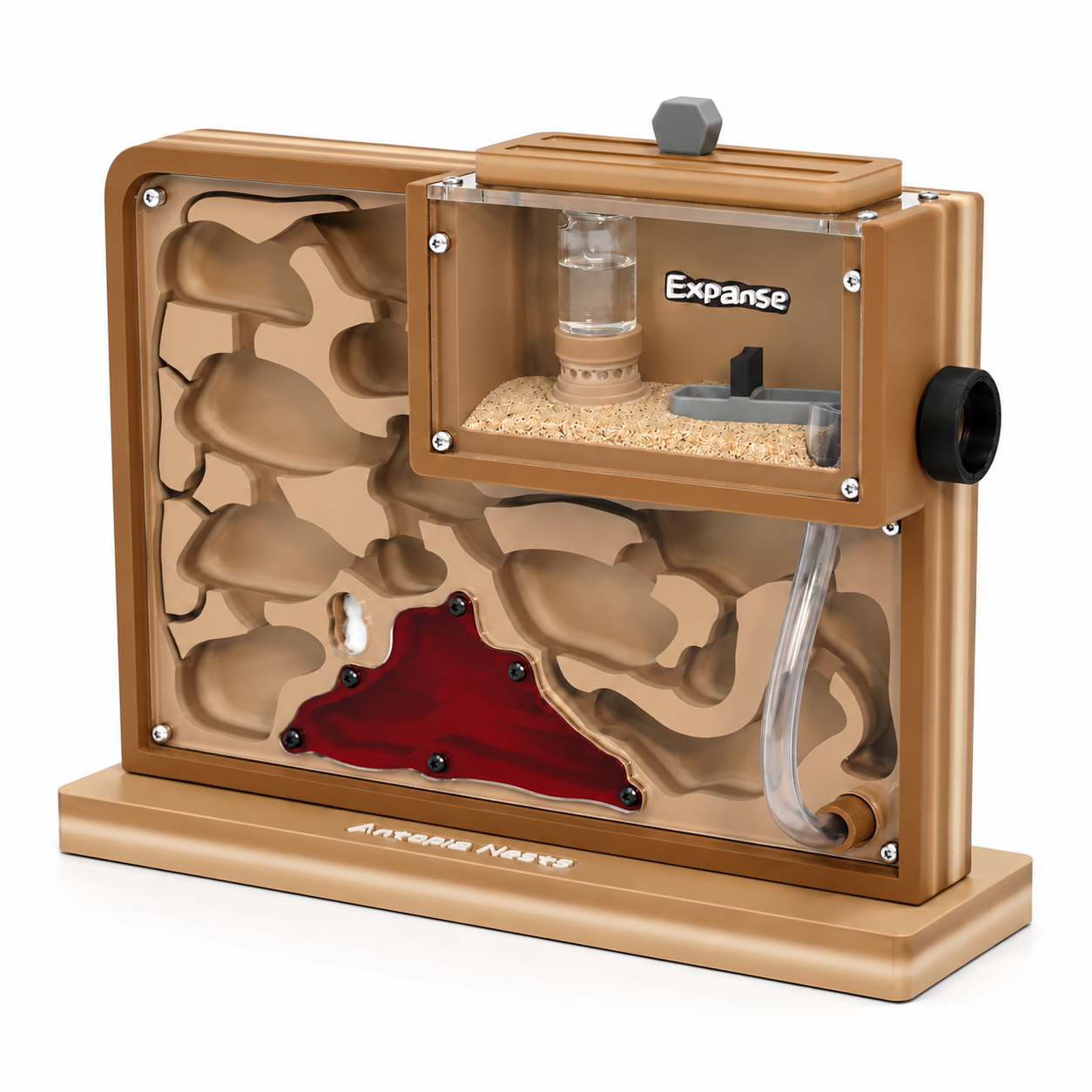 Expanse Formicarium Unit