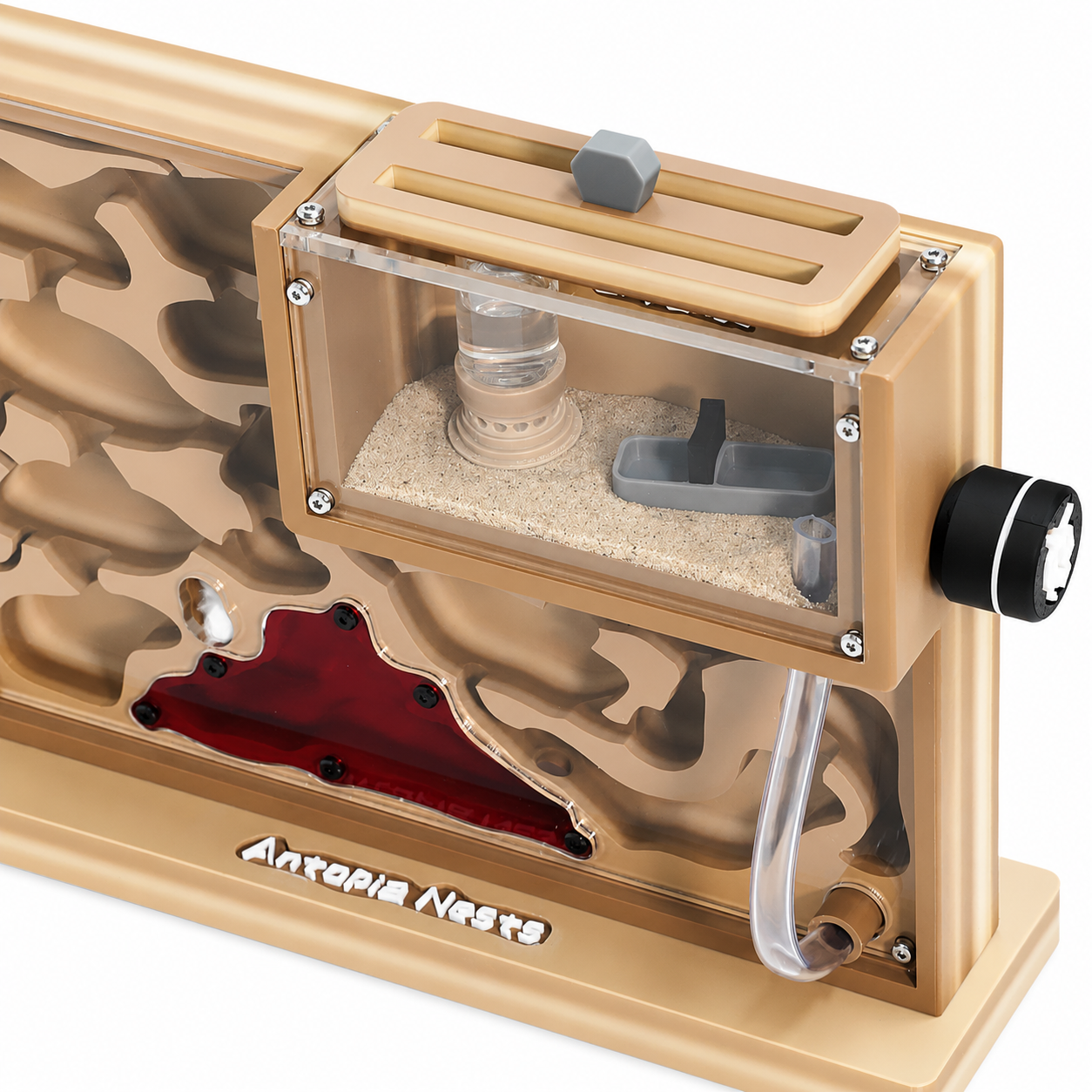 Expanse Formicarium Unit